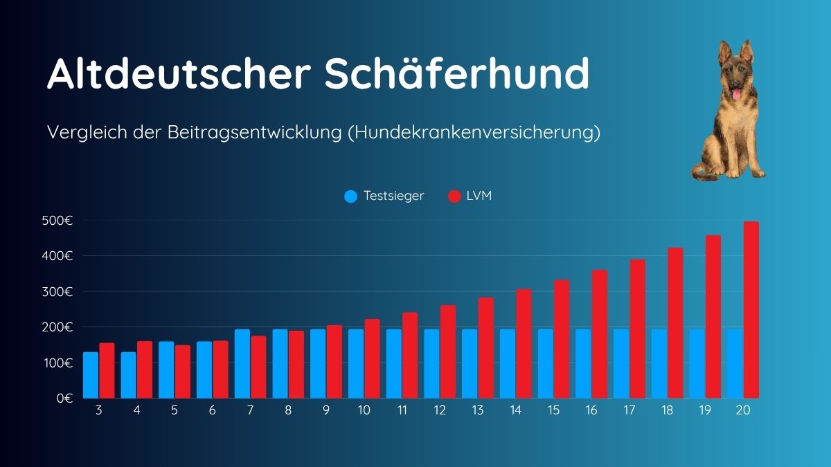 Beitragsentwicklung LVM Altdeutscher Schäferhund