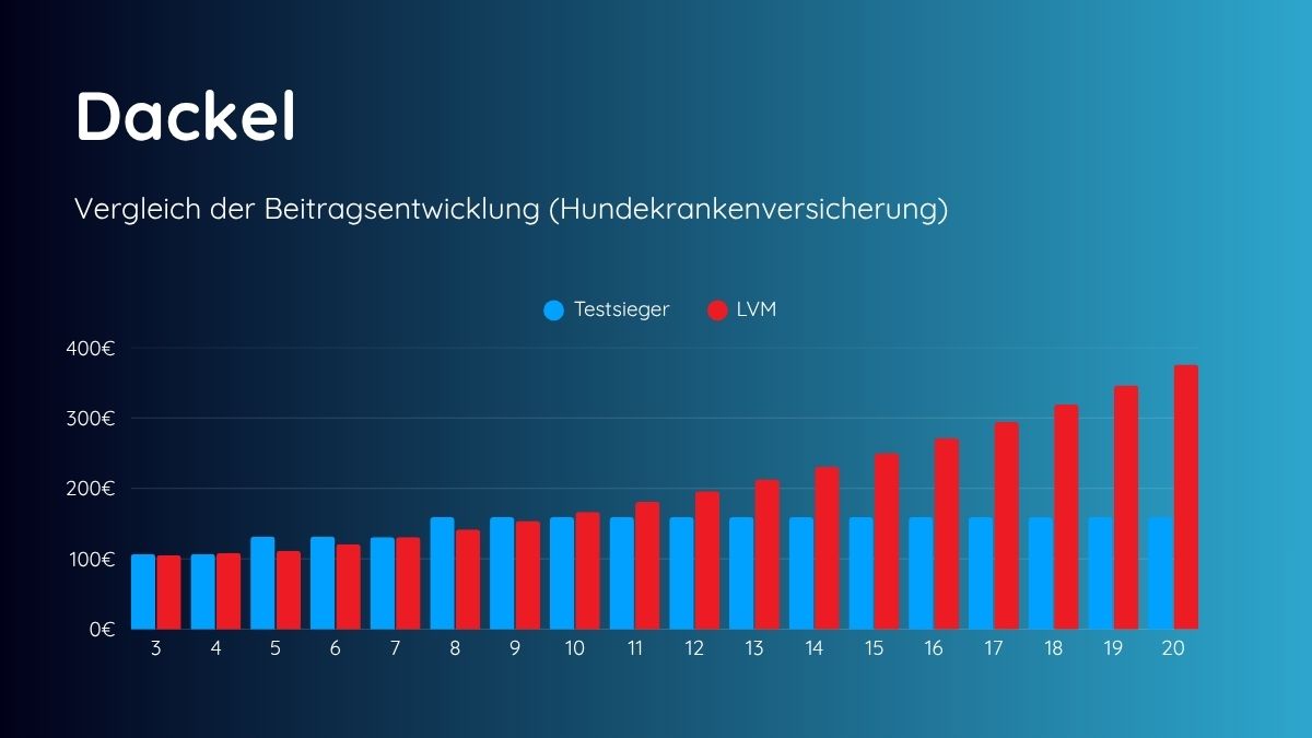 Beitragsentwicklung LVM Dackel