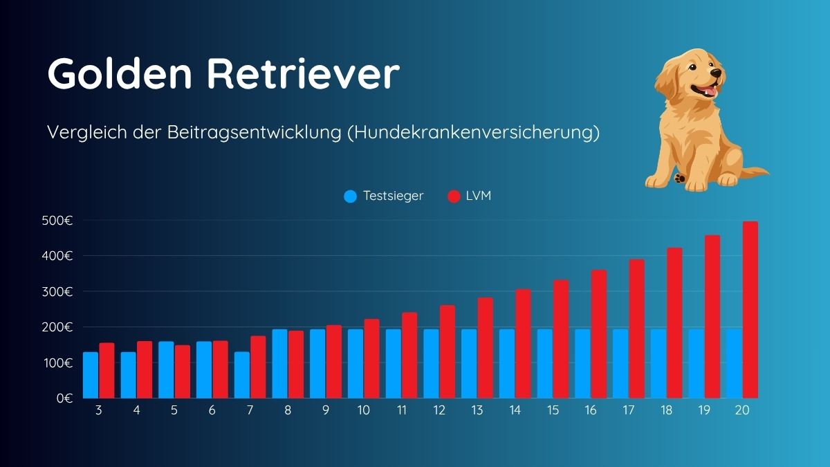 Beitragsentwicklung LVM Golden Retriever