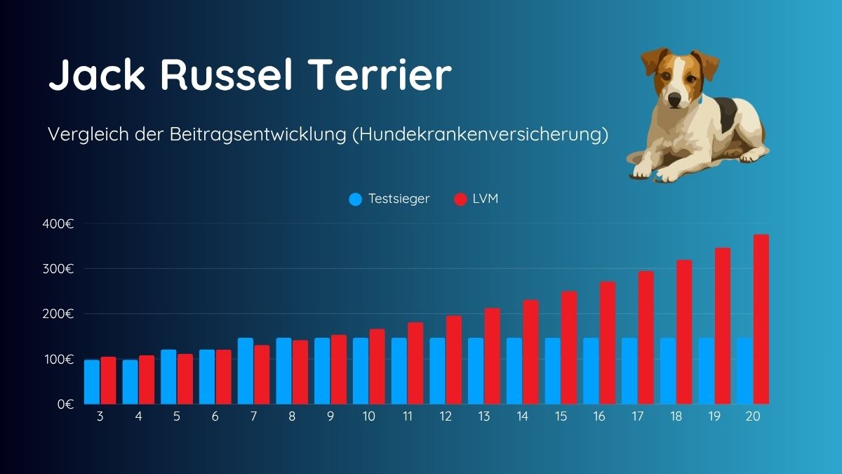 Beitragsentwicklung LVM Jack Russel Terrier