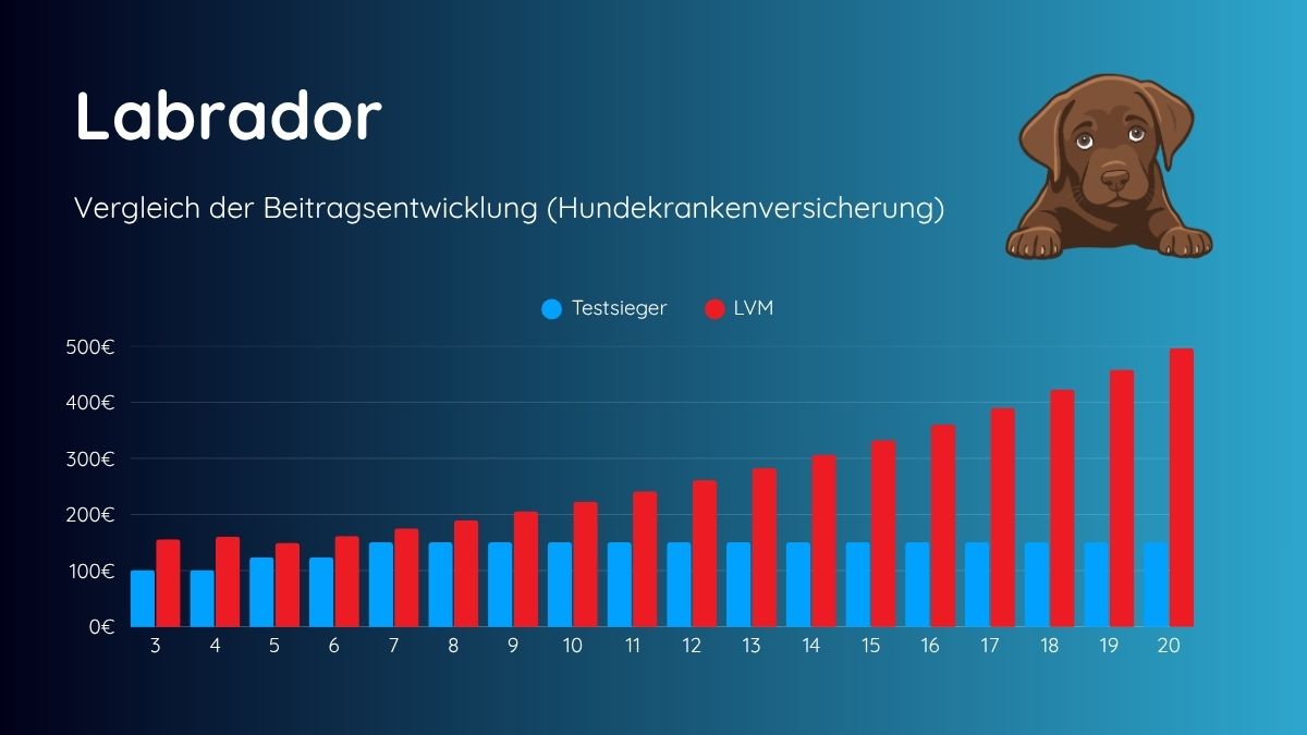 Beitragsentwicklung LVM Labrador